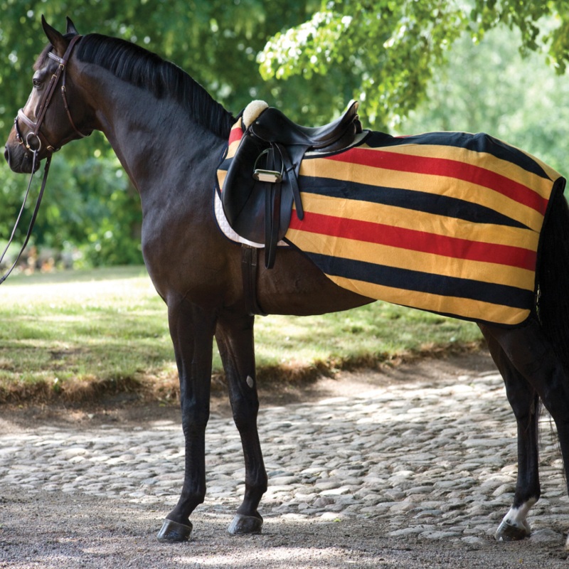 Horseware Ireland Rambo Fleece Competition Sheet