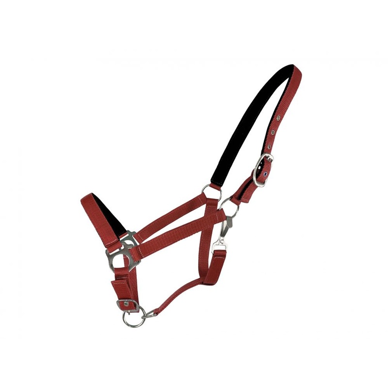 Horse Size Neoprene lined Nose and Crown Halter