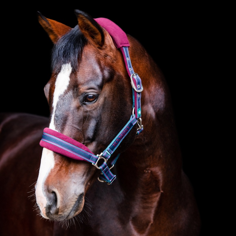 Horseware Ireland Rambo Padded Headcollar
