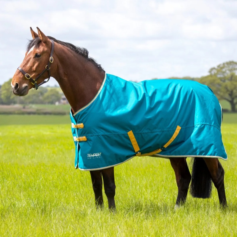 Shires Tempest Original 50g Turnout Rug