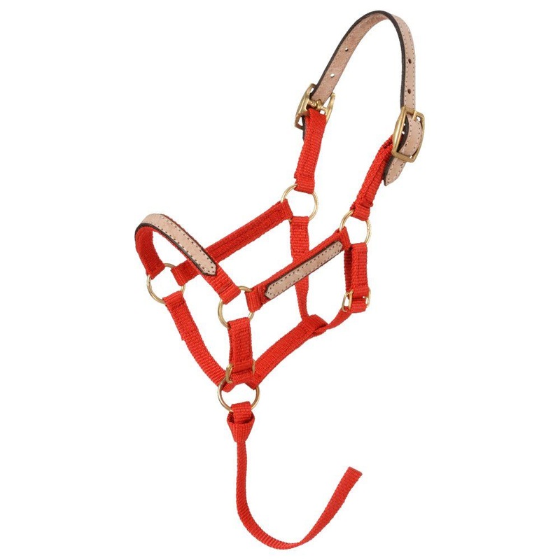 6 Pack Miniature Nylone Breakaway Halters