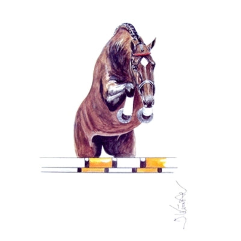 Amaretto (Show Jumper)