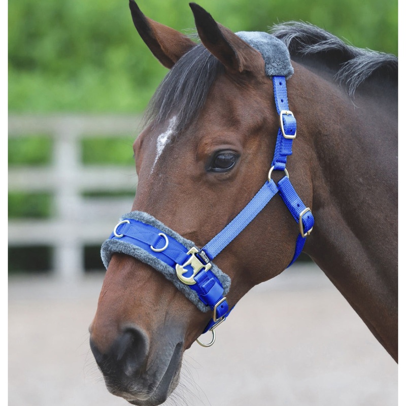 Arma Fleece Lined Lunge Cavesson