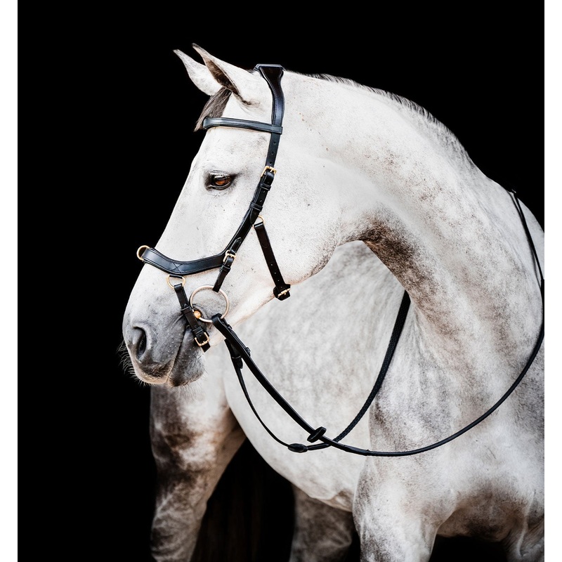 Horseware Ireland Micklem 2 Multi Bridle