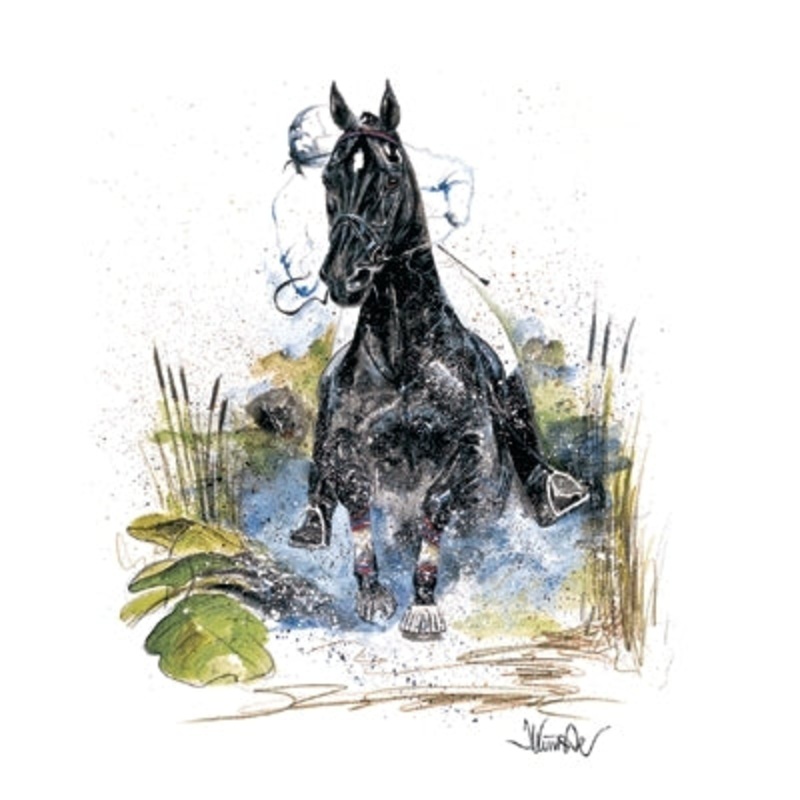 Joker (Cross Country) By: Jan Kunster