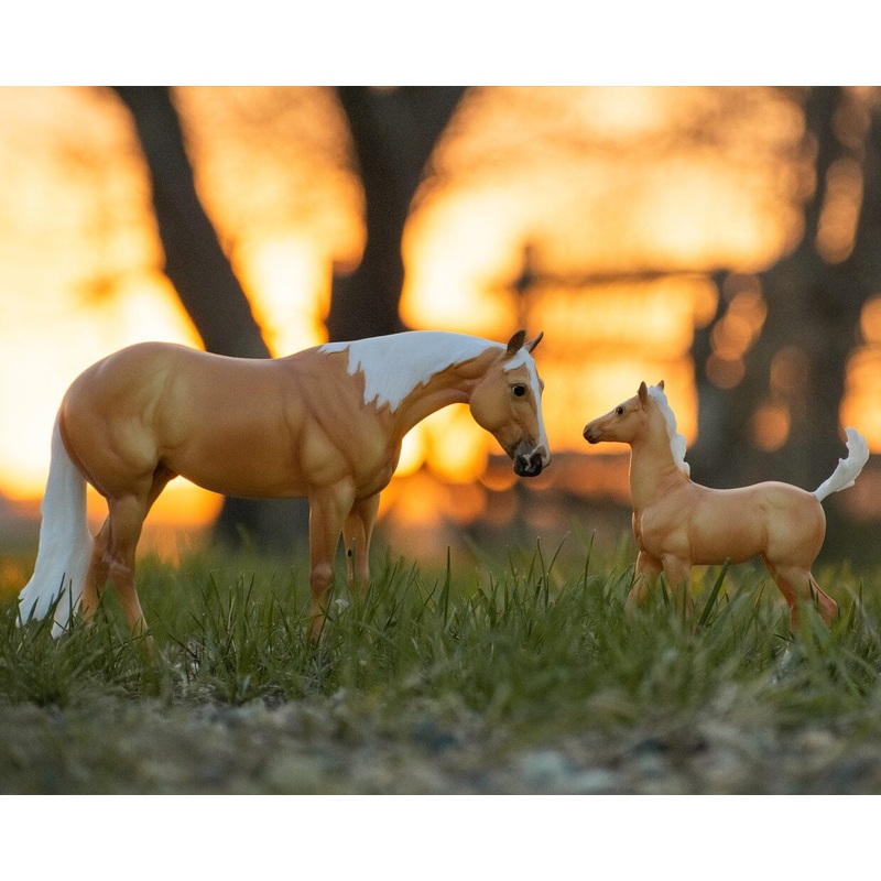 Breyer Ebony Shines & Charlize