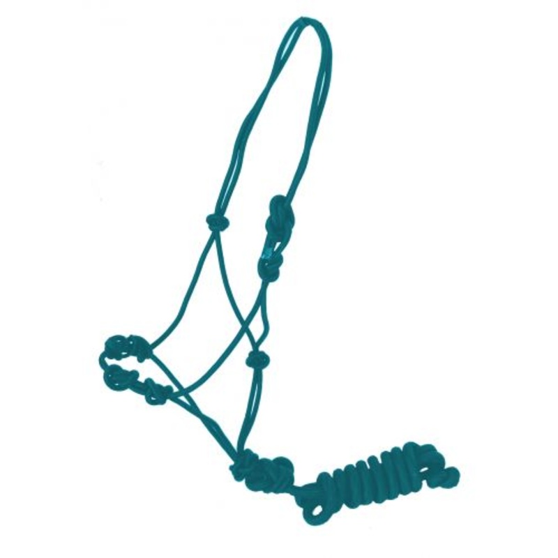 Pressure point cowboy knot halter