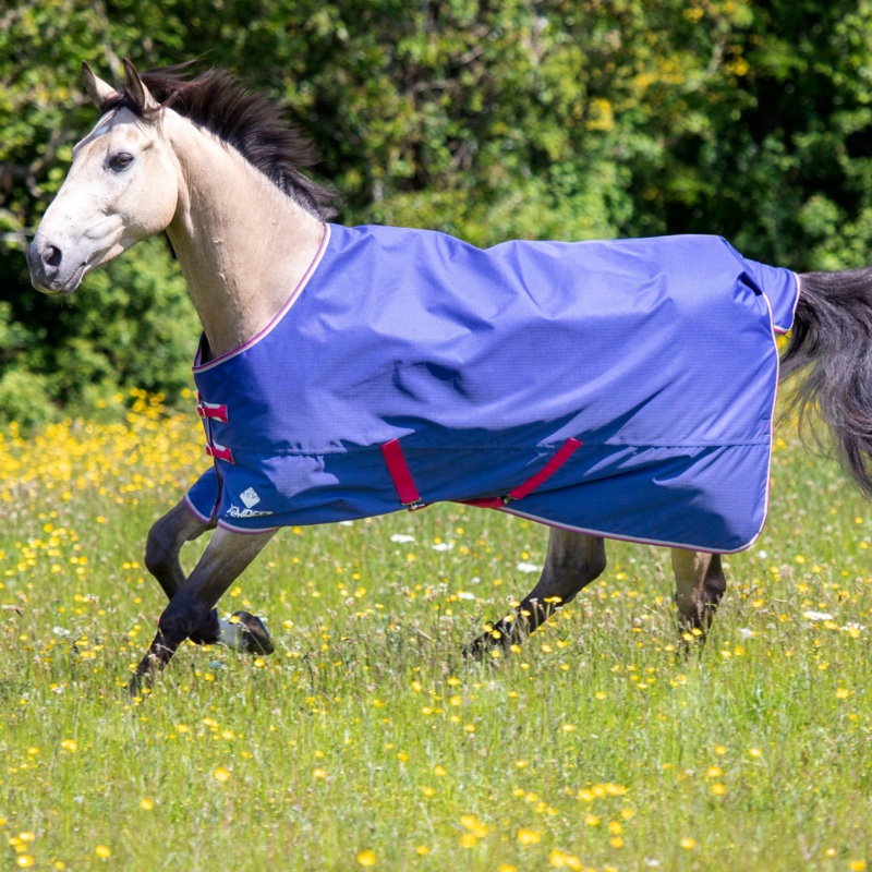 Shires Tempest Original Air Motion Turnout Rug