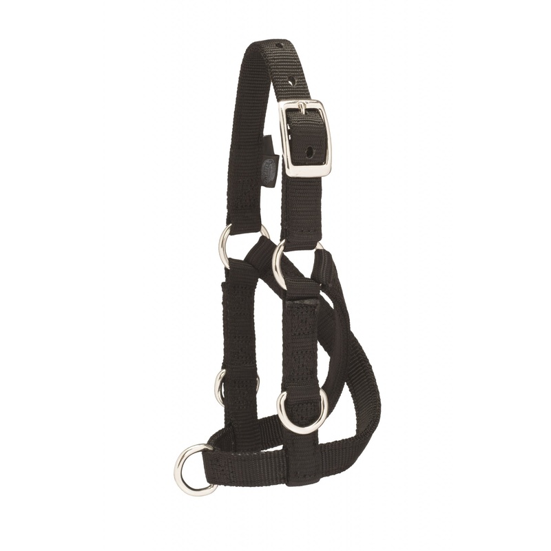 Weaver Sheep & Goat Training Halter
