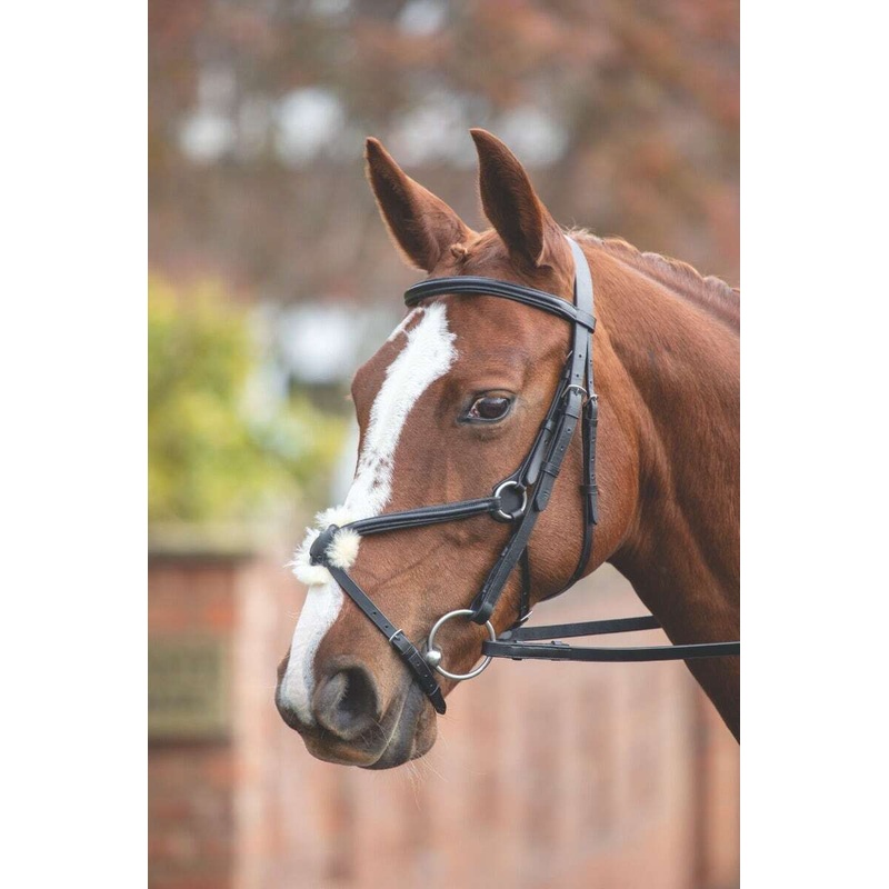 Shires Velociti Gara Mexican Bridle
