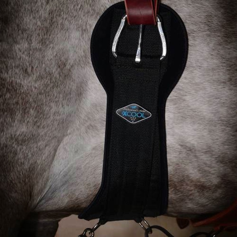 XCC Professional’s Choice 2XCool Western Cinch