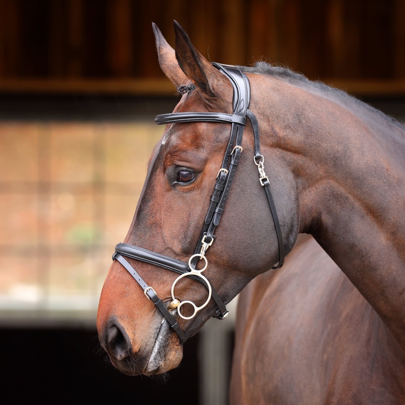 Shires Velociti Rapida Training Bridle