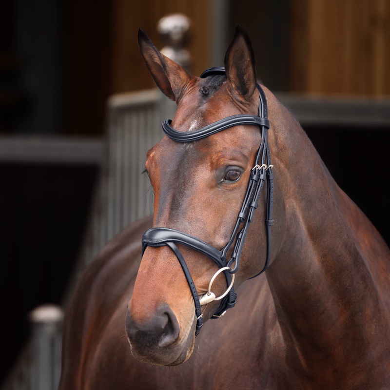 Shires Velociti Lusso Elite Flash Bridle