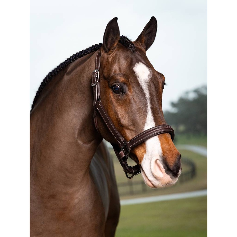 LeMieux Stitched Hunter Halter