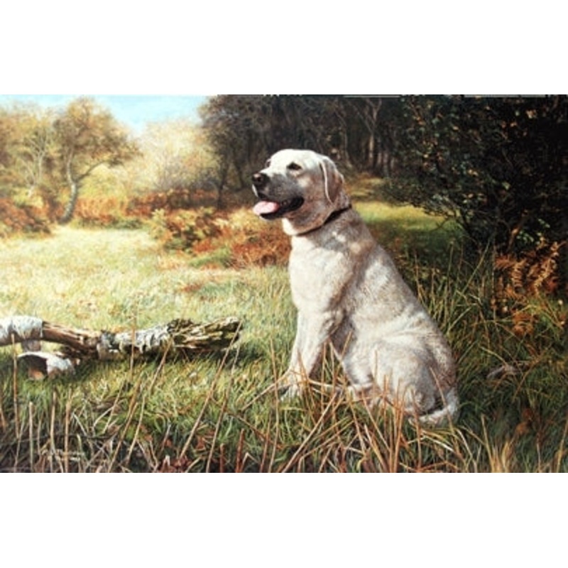 The Yellow Labrador By: M. N. Thackstone