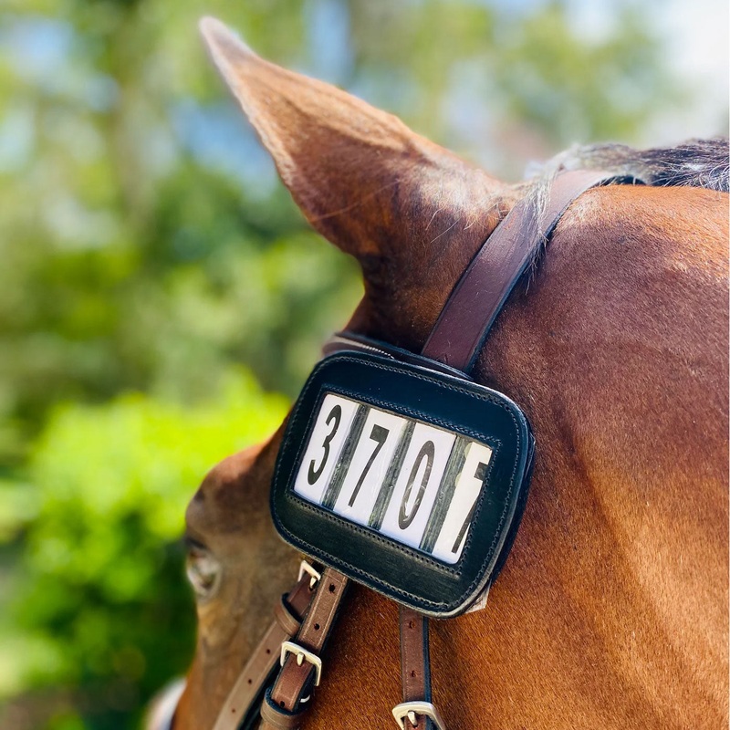 Ace Equestrian Number Holder – Pack of 2