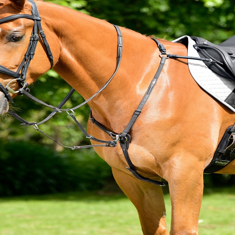 Collegiate Comfitec Opulux 3-Point Padded Raised Breastplate With Running Attachment