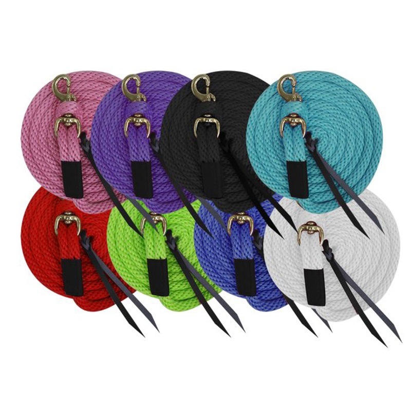 10′ Deluxe Poly Lead with Removable Brass Snap and Leather Ends