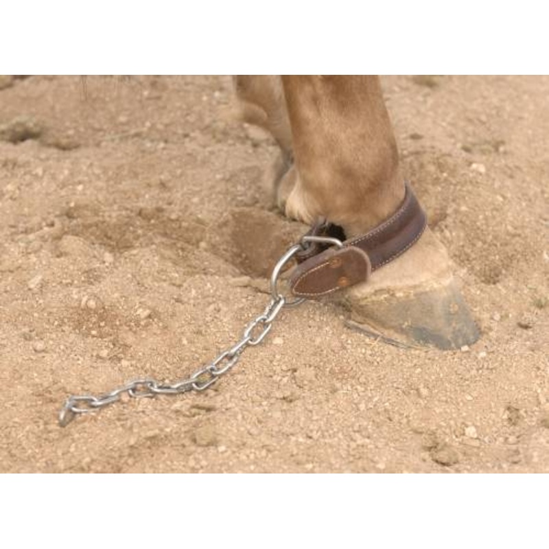 AD Kicking Chain