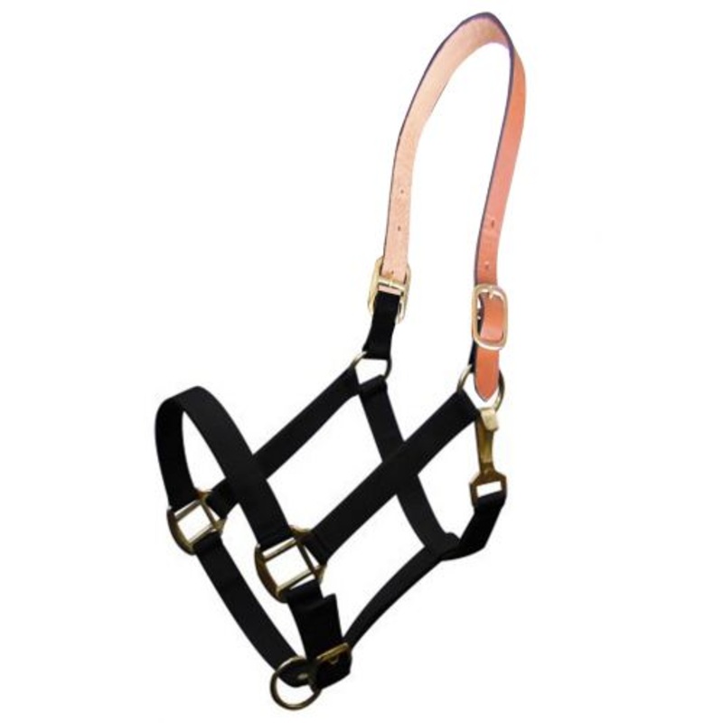 #16489: Showman  Triple ply nylon halter with leather crown