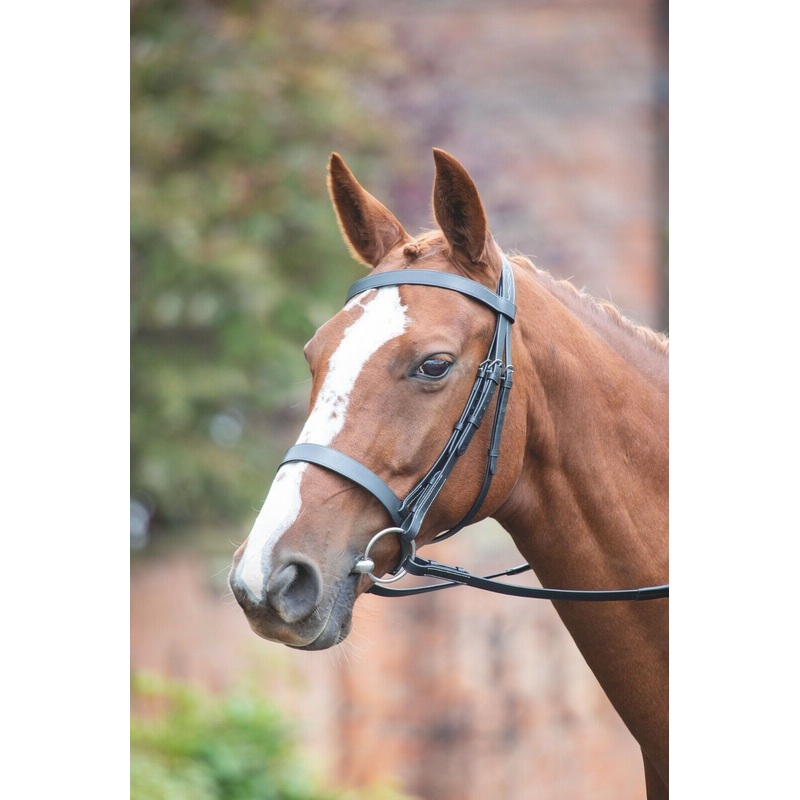 Shires Avignon Hunter Cavesson Leather Horse / Pony Bridle