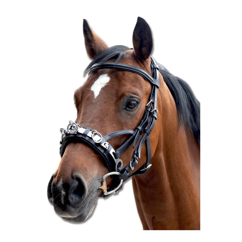 Waldhausen Leather Lunge Cavesson