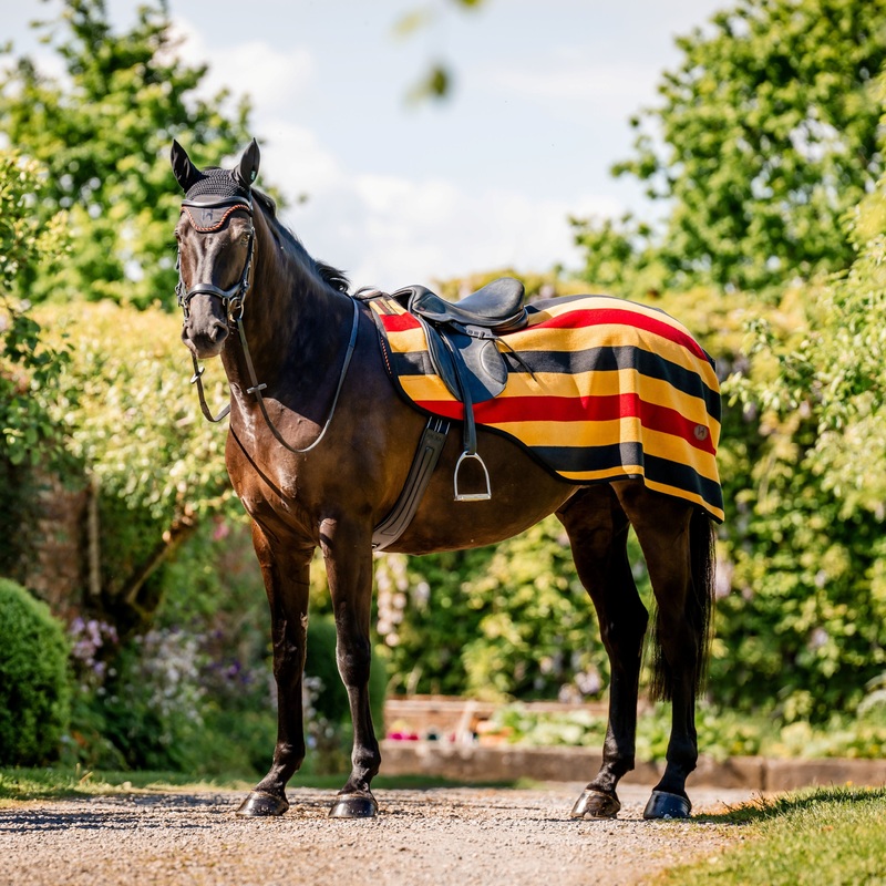 Horseware Ireland Newmarket Exercise Sheet