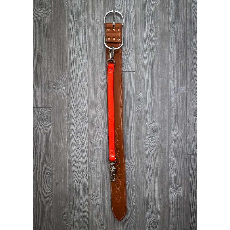 Donkey Collar With Lead