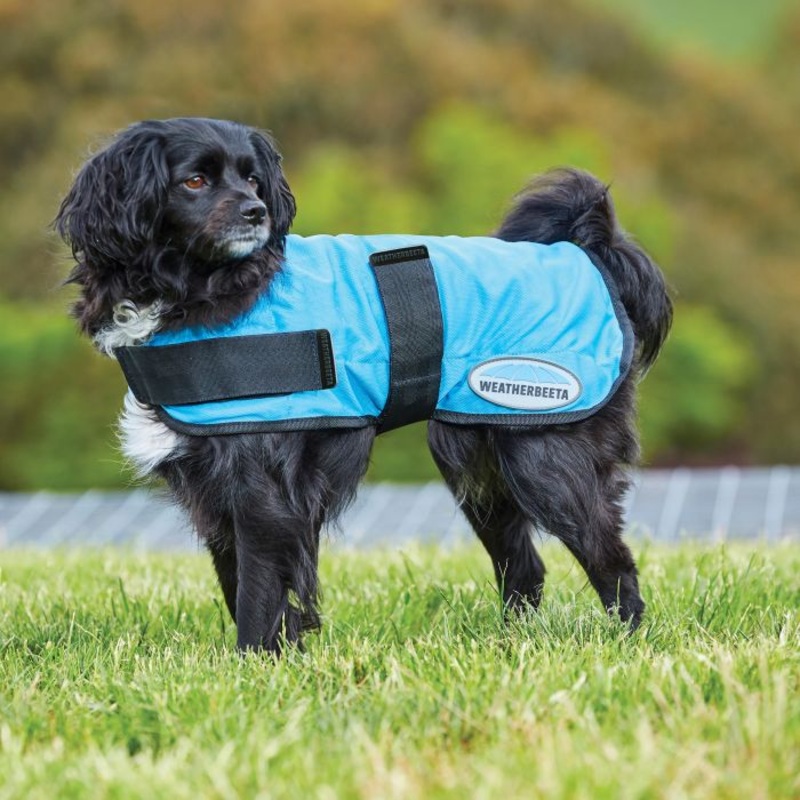 Weatherbeeta Therapy-Tec Cooling Dog Coat