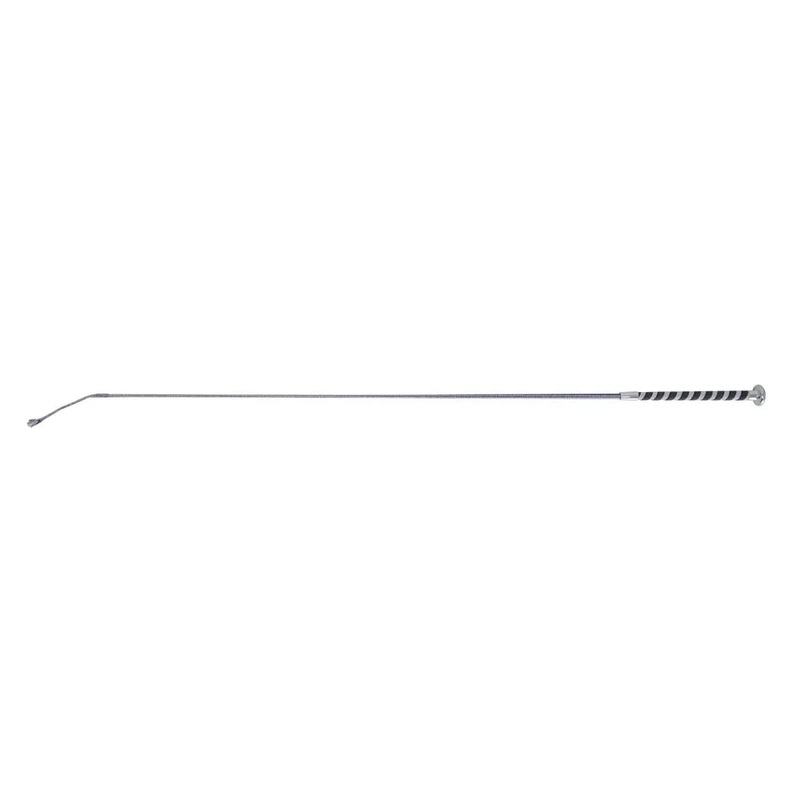 HySCHOOL Pirouette Schooling Whip