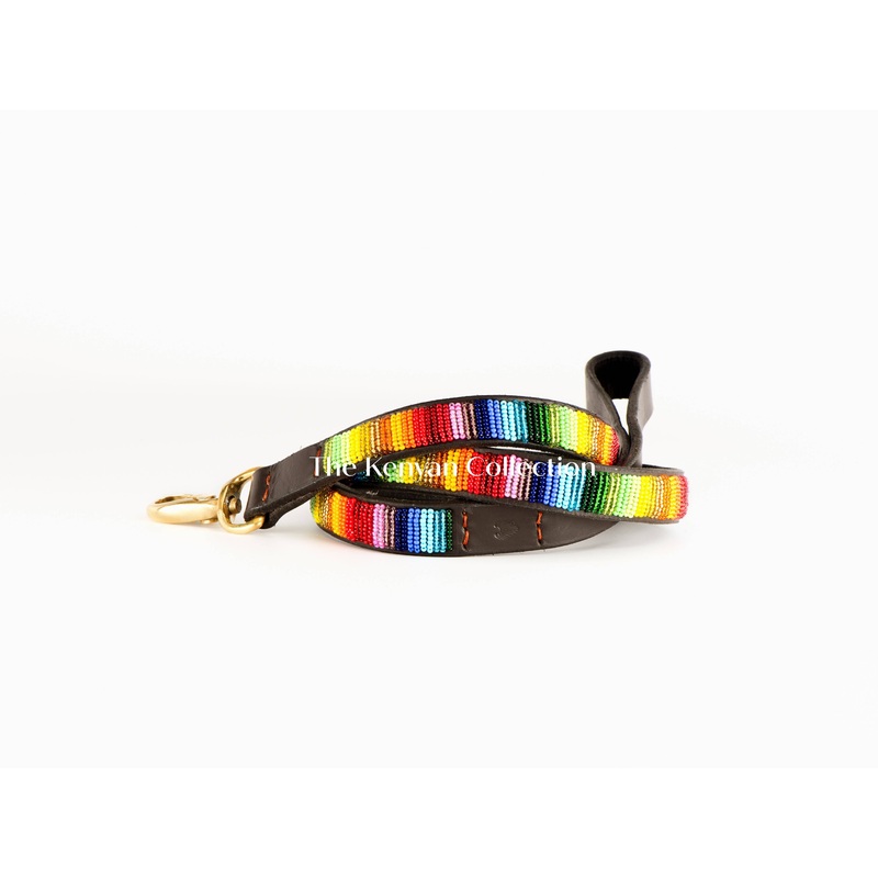 “Rainbow” Beaded Dog Lead