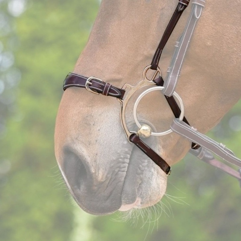 Jump In Hackamore Noseband