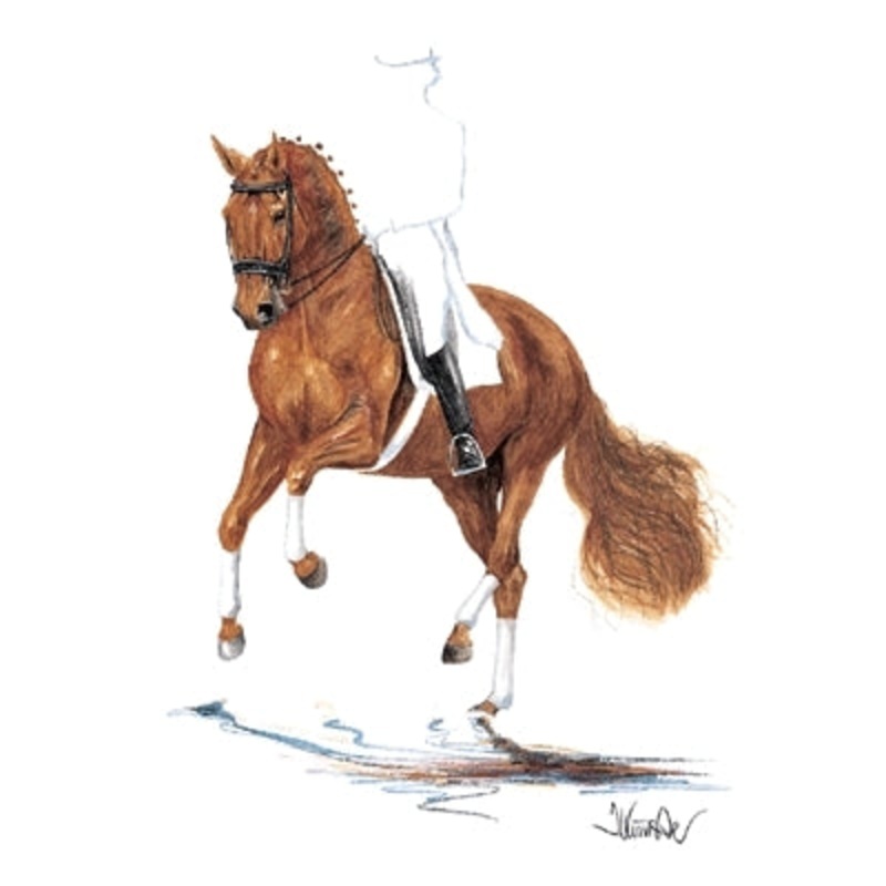 Rheingold (Dressage) By: Jan Kunster, Matted