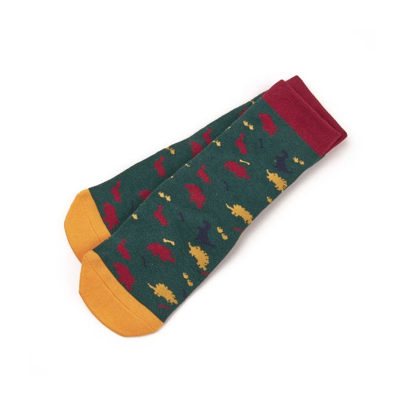 Shires Tikaboo Long Socks