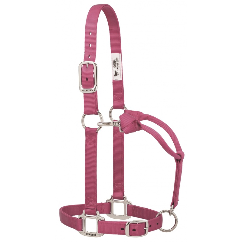 Weaver Original Adjustable 1″ Nylon Halter with Chrome Plated Hardware