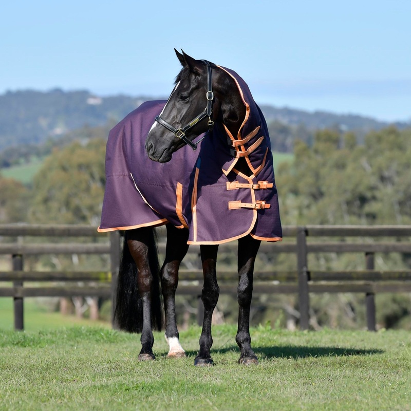 Weatherbeeta ComFiTec Essential Combo Neck Heavy Turnout Rug