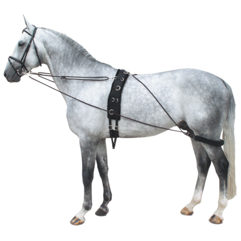 Premiere Pessoa Lunging Aid