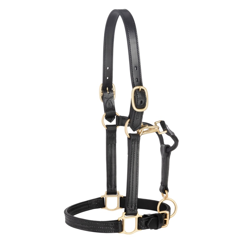 1″ Track Halter, Black