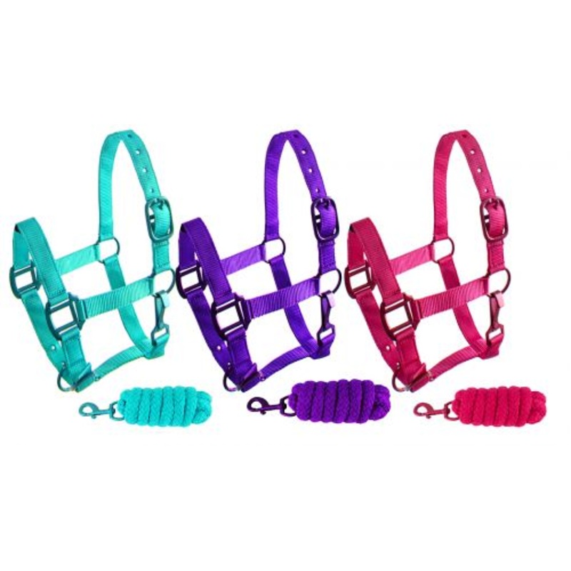 #101HLP: Showman  Ponytriple ply nylon halter and lead rope with matching powder coated hardware