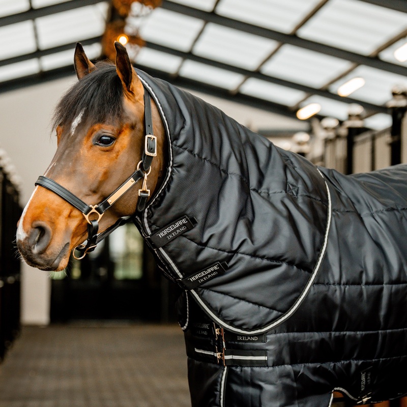 Horseware Ireland Easy-Layer 100g Stable Rug Hood