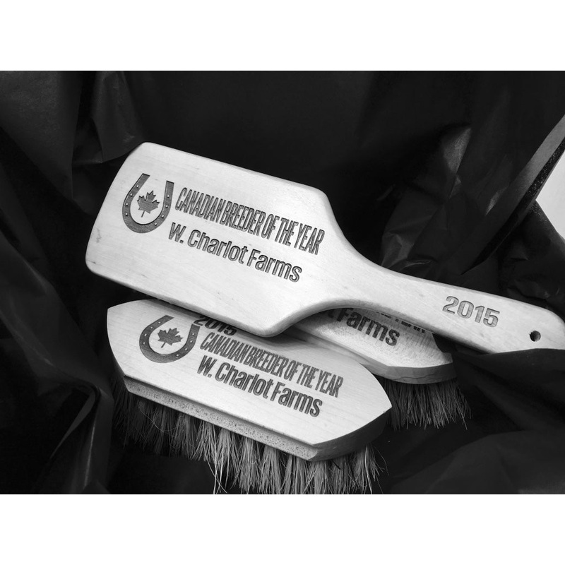 Prize Brush Set